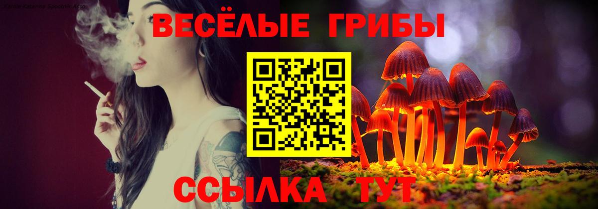 Галлюциногенные грибы Cubensis Рузаевка